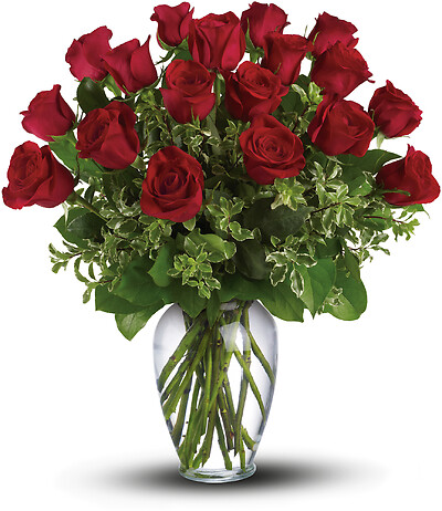 Always on My Mind - Long Stemmed Red Roses